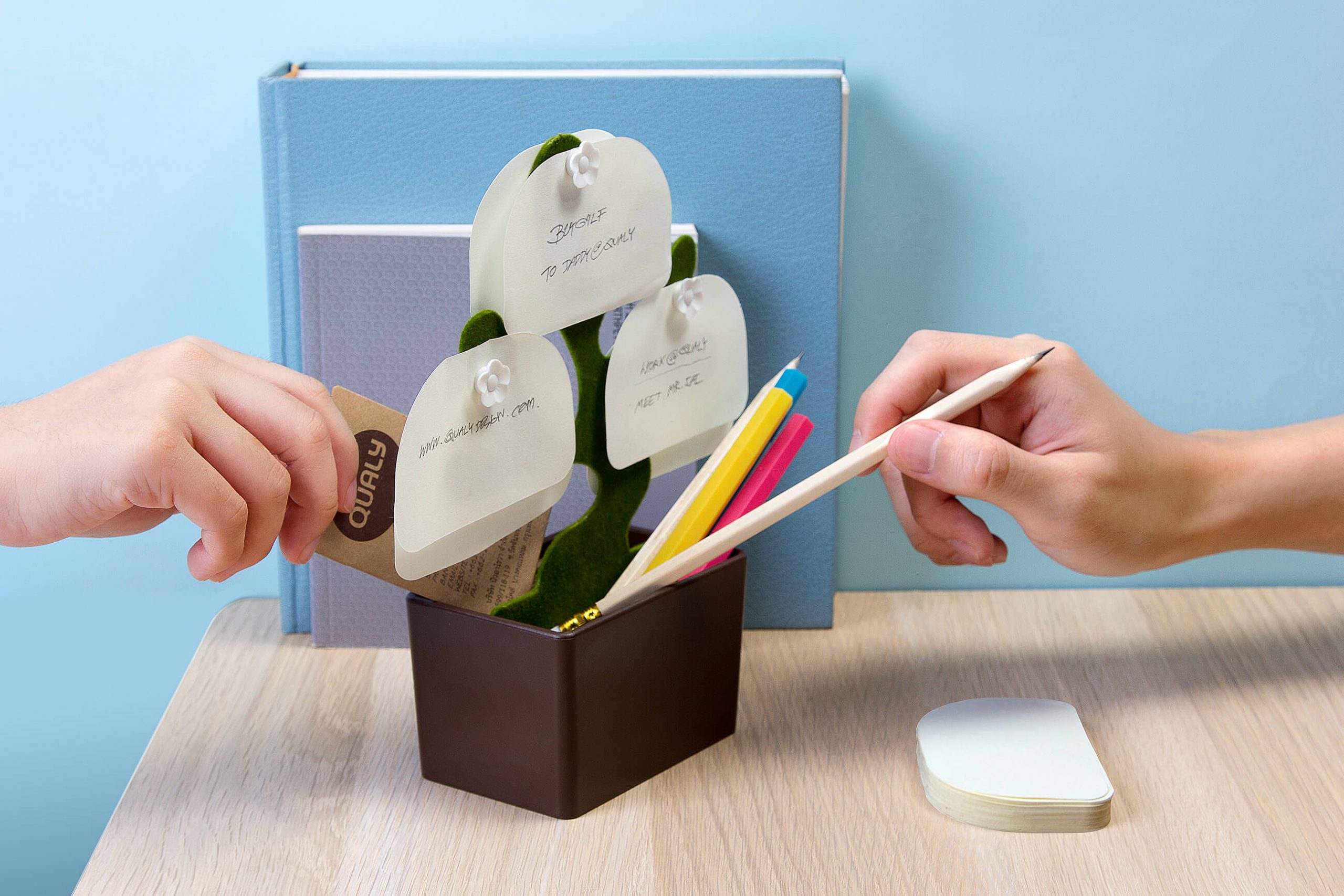 QL10122-Desk Bonsai-usage1