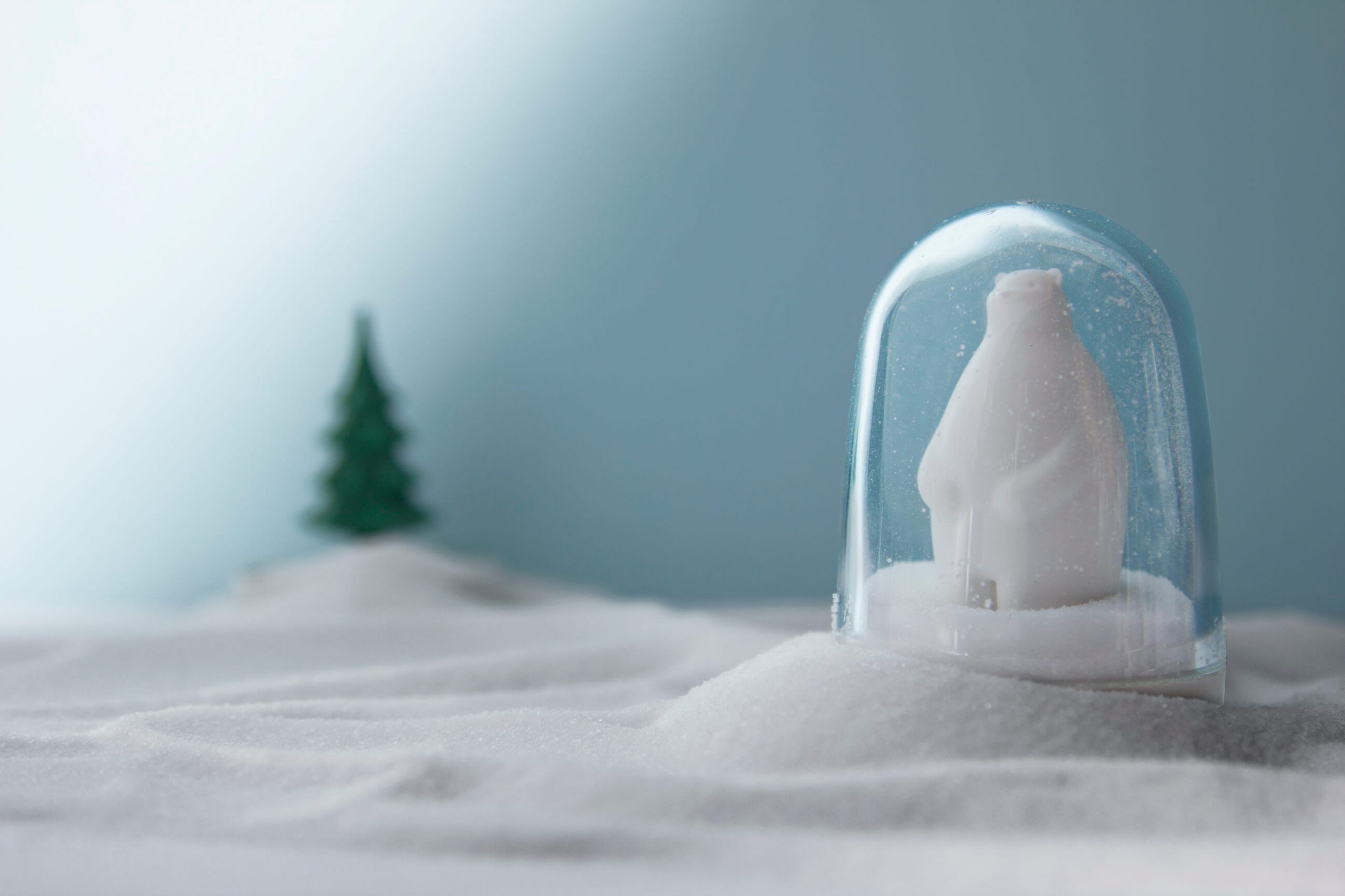 QL10125-WH Animal Parade Spice Shaker use8