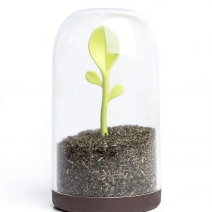 Контейнер для сыпучих продуктов “Sprout Jar”